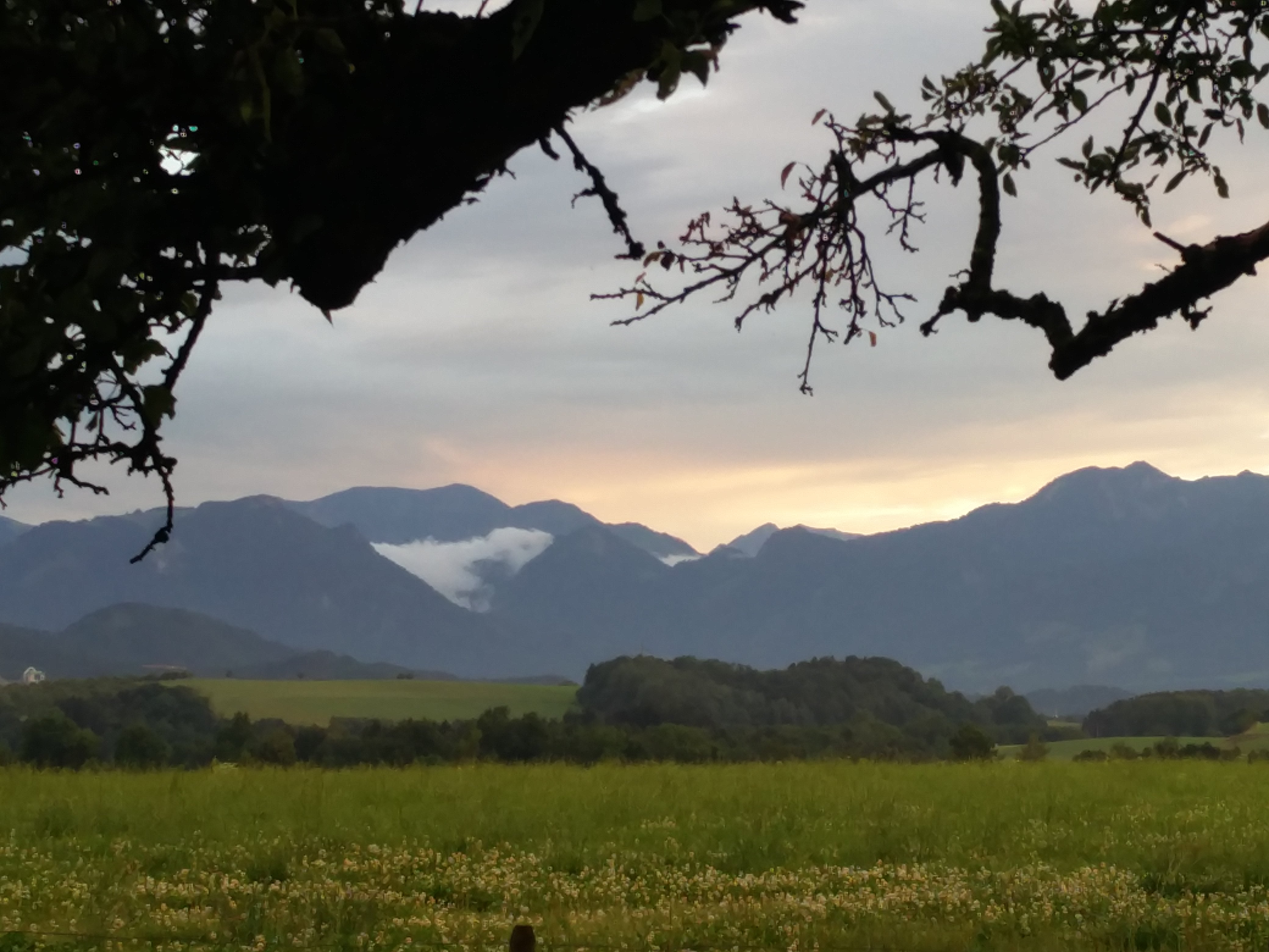 blog4