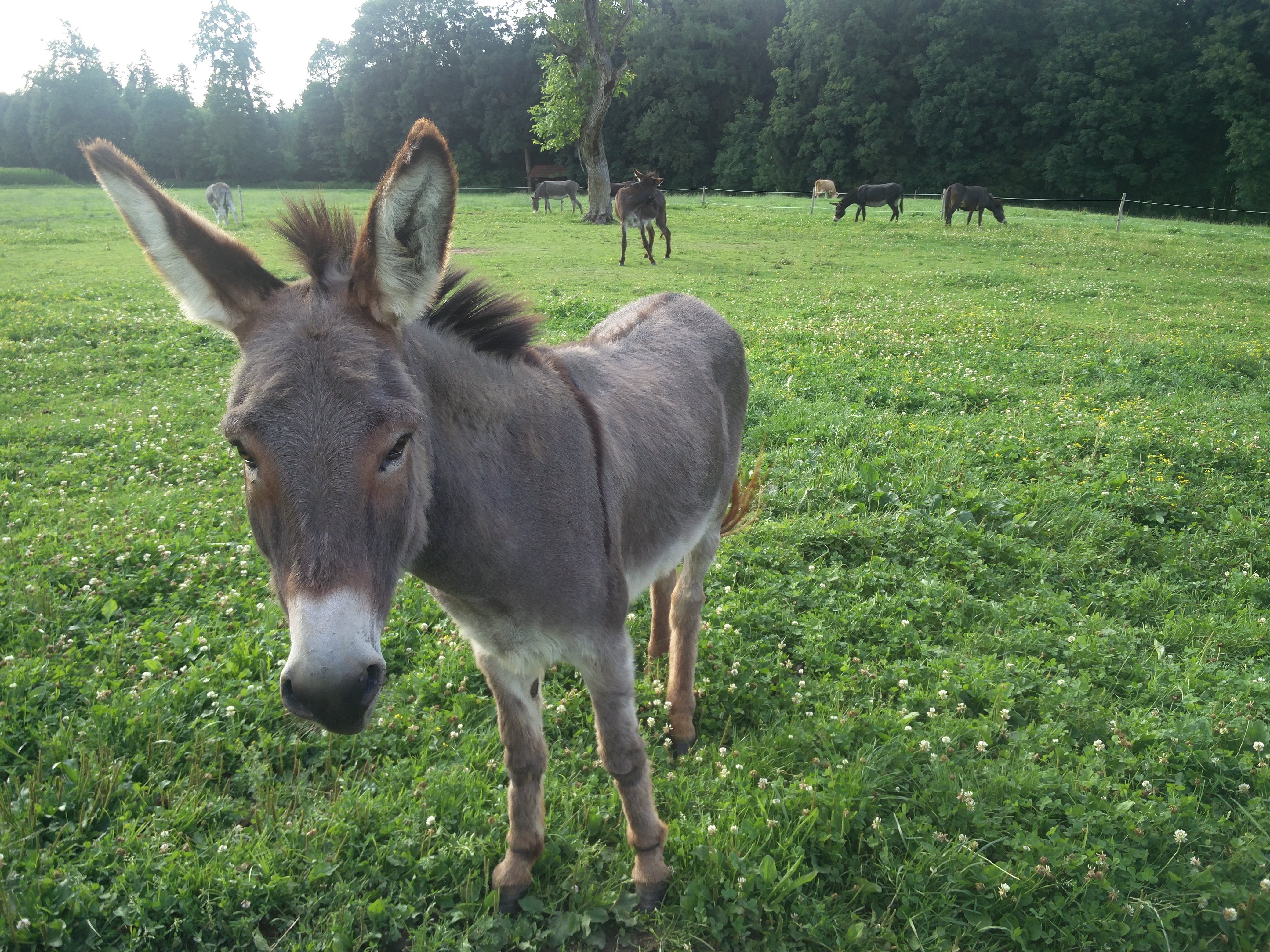 blog8