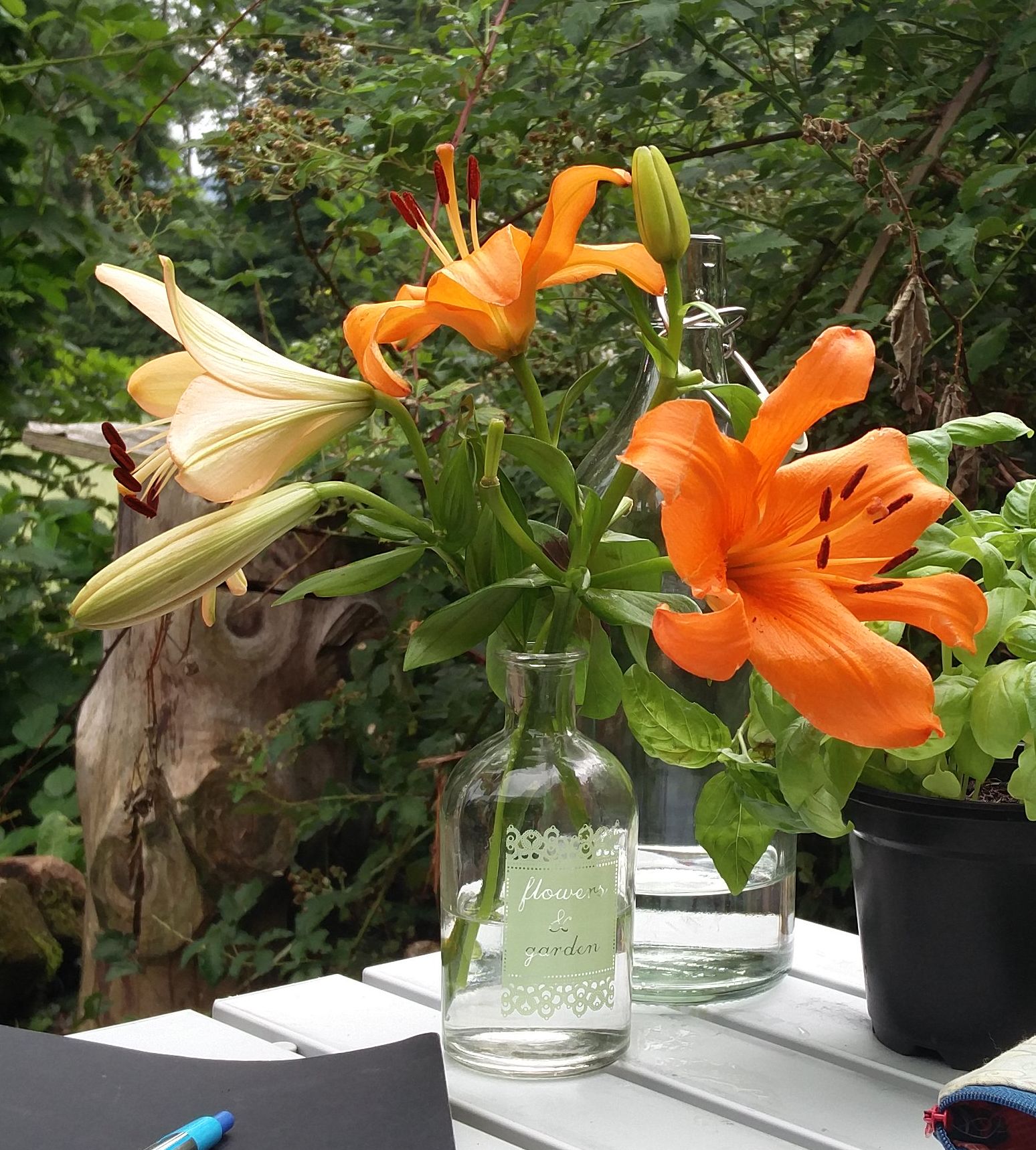 blumen