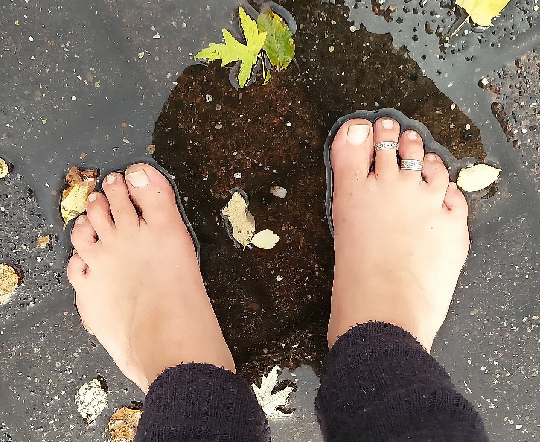 herbstfüße2