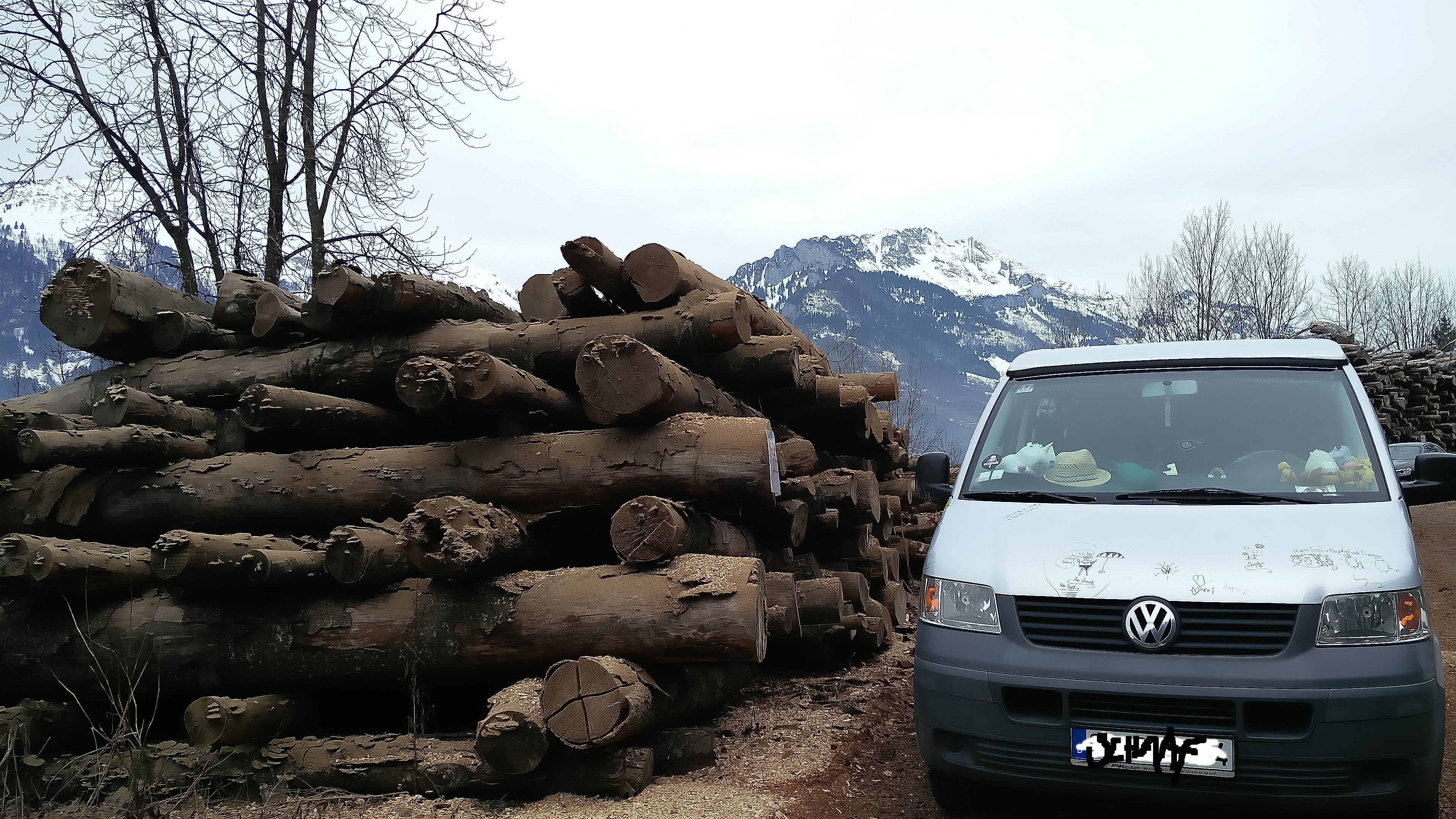 schweiz holzhaufen